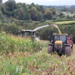 Maize harvesting with JCB Fastrac and Claas forager