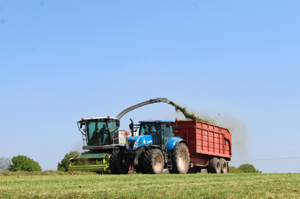 235 on silage ss
